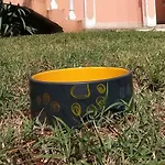 Waimarie * Фажана